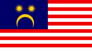 Drawings of some national flags in a sad style.